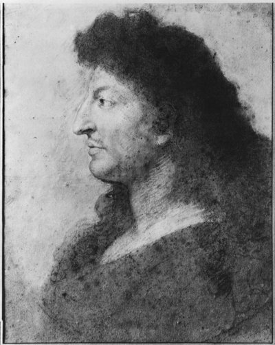 Portrait of Louis XIV in Profile, with Bare Neck and Long Hair by Charles Le Brun